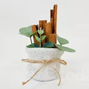 (TD) 데코찰흙 계피 화분 만들기 - 5인세트