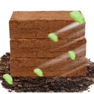 코코넛 벽돌 배양토 열매 꽃 양분 허스크칩 화분흙 껍질