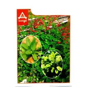 산뜻한 향기 세이지 씨앗 허브 종자