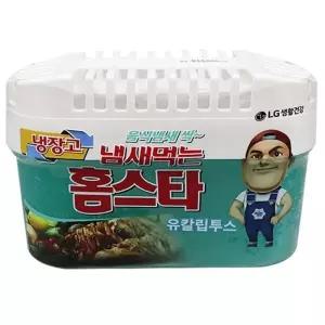 홈스타 탈취제 냉장고용 냄새 제거 방향제 420g