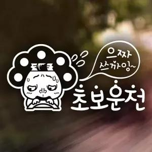 자동차꾸미기 자동차데칼 외장스티커 반사시트지