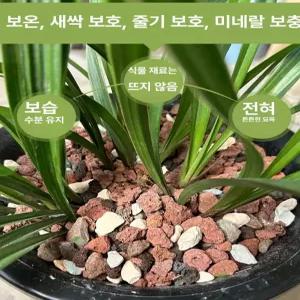 메종드라종 프리미엄 난석 화분 화산석 분재 자갈 동양란 5kg