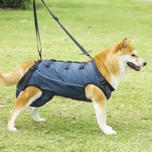 [반려] 하네스 고령견 보행 보조복 보조 재활 반려견 이동 XS
