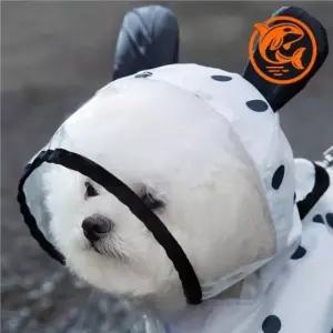 [반려] 날 방수 스타일 점파 애완견 편안한 비 우비 애견 판초 오는 방수복 산책 의류