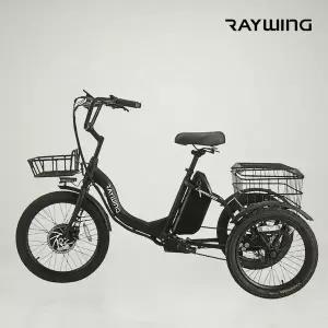 레이윙 캐리 EZ 삼륜 전기자전거 48V 고출력 자전거 부모님선물