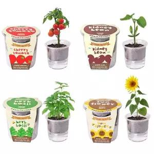 [RIZPICK]자동급수 저면관수 식물재배기 화분 세트 키우기쉬운식물