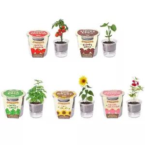 [RIZPICK]자동급수 저면관수 식물재배기 5종 씨앗 화분 세트 키우기쉬운식물