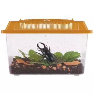 어린이집 학습용 투명 곤충 관찰 채집통 벌레통 캠핑 등산