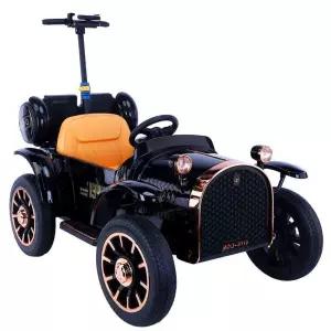 전동 유모차 푸쉬카 범퍼카 부모 2인용 성인용 자동차