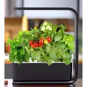 토마토 재배기 식물 재배 실내 수경 농장 조명 야채 3구