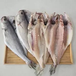 국내산 반건조 민어 4미