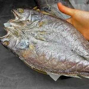 [장보리]대왕사이즈 반건조 민어 5미