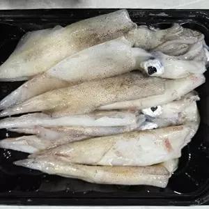 [장보리]국내산 제철 한치 급냉 1kg