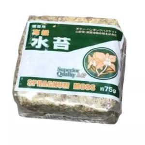 75g 건조 압축 수태 이끼식물 수태이끼 풍란수태