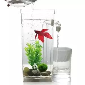 물멍 자동 청소 어항 금붕어 구피 해수어 베타 키우기