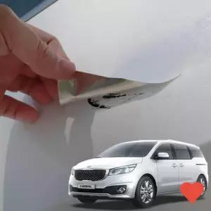 차량 튜닝 올뉴카니발 페인트 스티커 펄