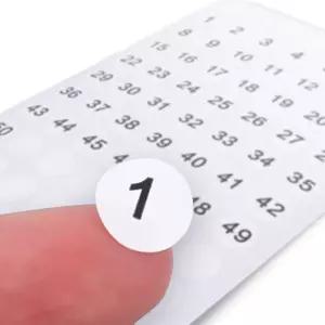 원형 숫자스티커 화이트 1~50번호 스티커 1장