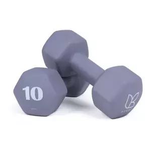 [아리프] 선인장 미용 아령 여자 홈트 덤벨 10kg, 2개, 모브 그레이