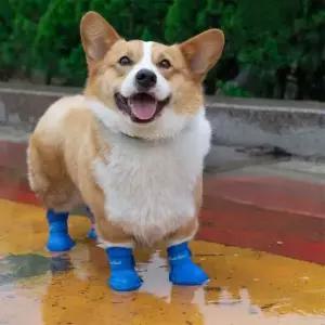 반려동물 소프트 실리콘 논슬립 레인 부츠 XL