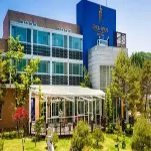 [강원] 베리온 리조트(강원호텔/평창호텔/평창베리온 리조트)