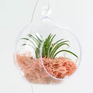 10cm 아크릴 투명 타공볼 원형 ( 투명볼 장식볼 행잉볼 테라리움 만들기 재료 트리 장식 소품 )