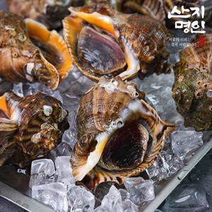 [산지명인] 자연산 참소라(소) 10-15미 1kg 태안 당일조업 빙장포장