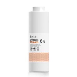 라샘 엘에스 디벨로퍼 산화제 6% 1000ml