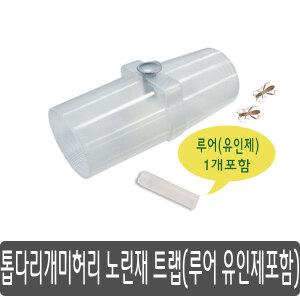 국산 노린재 퇴치 트랩 페로몬 유인제 포함 톱다리개미노린재 해충 끈끈이 벌레