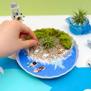 [문구티쳐] 토단 비치가든 테라리움 DIY 1인세트 공기정화 습도조절 원예활동 여름 방과후만들기 