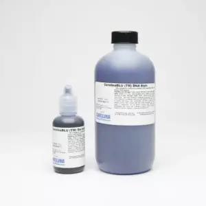 전기영동 2단계 염색 CarolinaBLU DNA Stain 2종/생물 과학 실험 재료