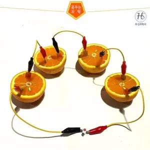 과일전지만들기세트 발광 다이오드