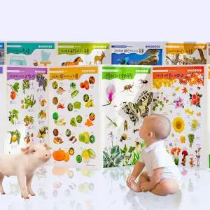 마루별 프리미엄 아기병풍 자연시리즈 신생아선물 출산 발달놀이 육아필수템 육아 조카 교구 학습벽보 핫템