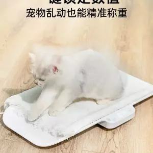 전자 무게 동물병원 측정 몸무게 대형견 체중계