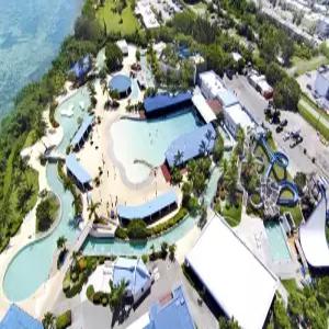 [오전출발/대한항공/일반팩] _ 괌 리조나레+조식포함 4일 _ 프리미어 룸