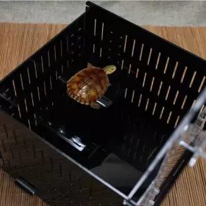 거북이 헤츨링 사육장 치료실 애완용 화이트 수조 쉼터 사육