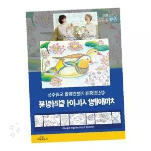 두뇌 활동 색칠 도안집 시니어 취미 미술 놀이 인지 기능 향상 여가 활동 교재