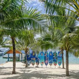 [Live11] 나트랑 1일 투어 #소이아일랜드 #스노클링 #해변자유시간 #아일랜드투어 #현지출발 #항공권별도