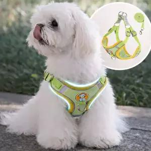 강아지 소형견 하네스 산책 편한 가슴줄 노터치 버클타입