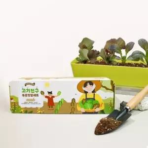 가정용식물재배기 상추키우기 식물재배기 텃밭 씨앗 화분 세트