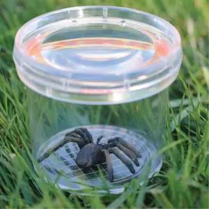 초등생 곤충채집 자연관찰 버그 뷰어 자료 재료 방과후 대회 생활 EQ