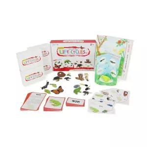 엄마표 홈스쿨 교육용 동식물 한살이세트 자연과학 수업자료 어린이용