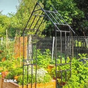 정원 아치 울타리 덩쿨 방부목 가든 인테리어 출입문 포도나무 철재 식물 지지대