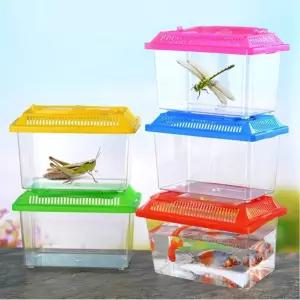 어린이 체험학습 곤충 채집통 관찰통 사육통 투명 어항 케이스 소 대