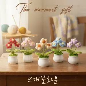 트렌드 꽃다발 인기제품 플라워 조화 꽃다발 꽃 니트 뜨개 니트 화분 패키지 졸업식 미니