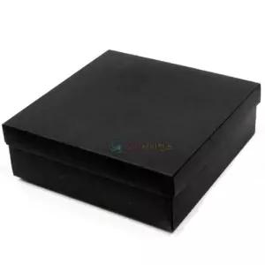 초등 강낭콩키우기 검정색 종이상자5P 생물수업 식물관찰 과학관