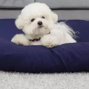 [반려] 강아지 쿠션 네이비블루 펫방석 반려견침대 반려동물침대