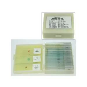 개구리내장 뿌리 줄기 과학 프레파라트 글라스박스 현미경기자재