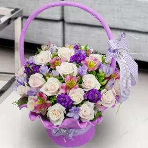 프레쉬프루티MTFA129