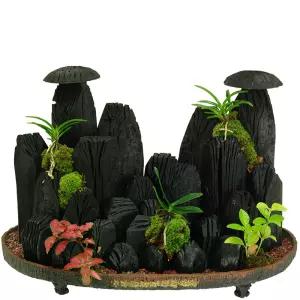 버섯모양 숯부작 CMTFH025