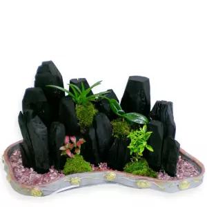 숯부작 6호MTFH024